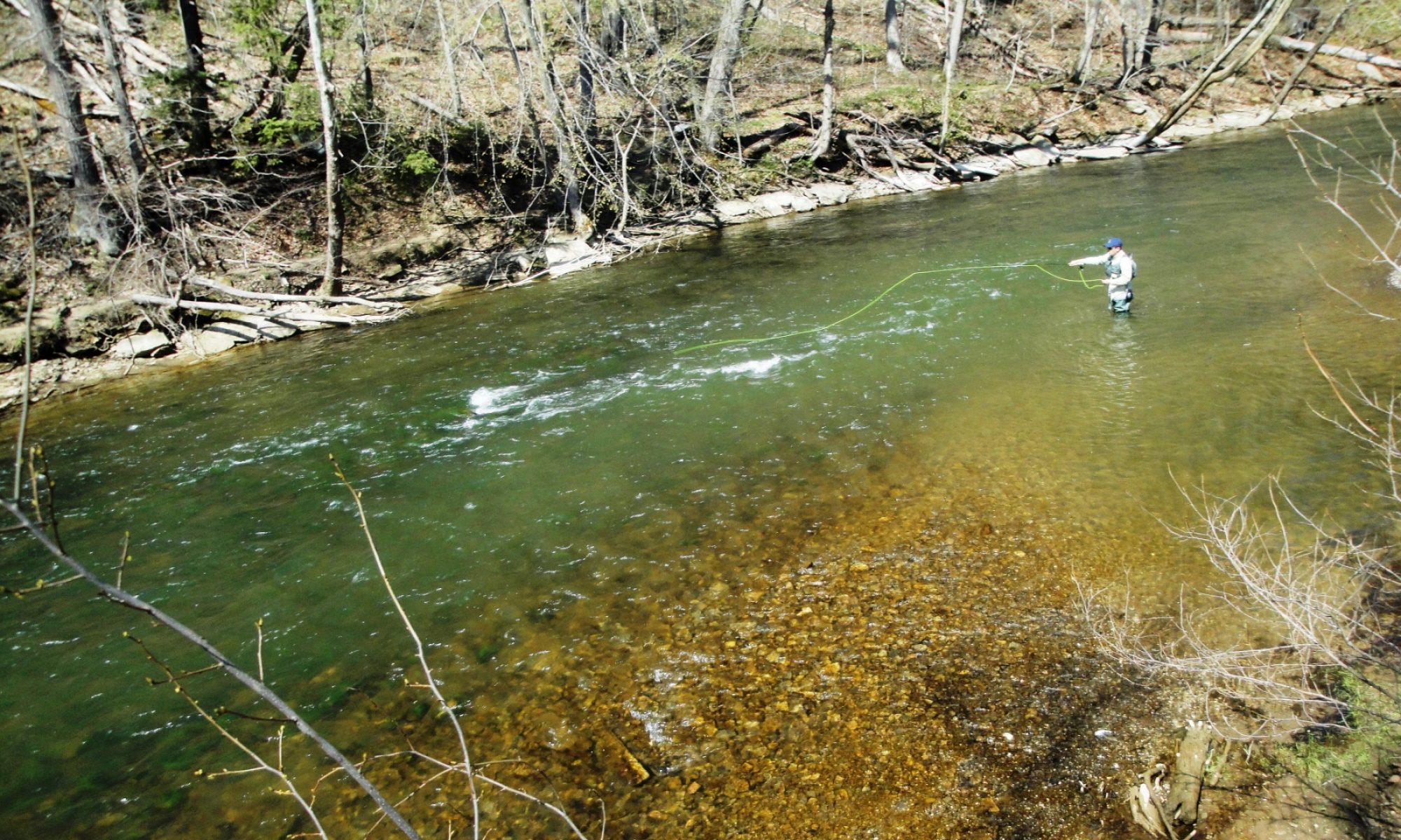 Central Ohio Fly Fishers We are fly fishing enthusiasts!